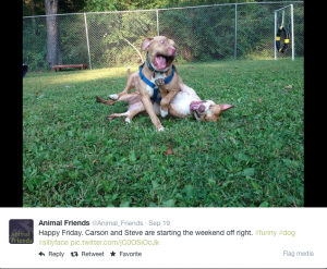 Screen Shot 2014-09-24 at 8.36.51 PM