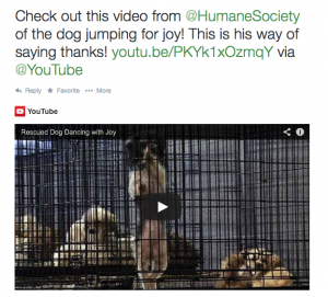 Screen Shot 2014-09-28 at 9.16.37 PM