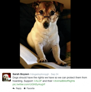 Screen Shot 2014-09-28 at 9.17.25 PM