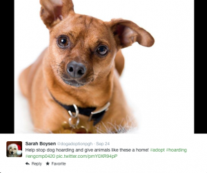 Screen Shot 2014-09-28 at 9.17.54 PM