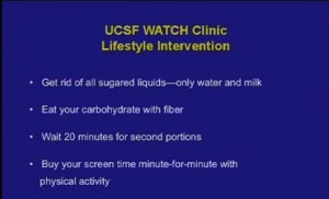 The lifestyle changes Dr. Lustig suggests for a diet that will avoid fructose consumption.