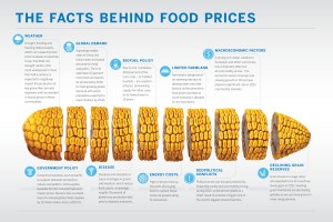 infographic-facts-behind-food-prices