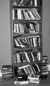 annette's bookcase