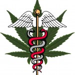 Medical Marijuana: Potential to Reduce Painkiller Abuse
