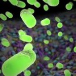  CCFA's Microbiome Initiative: One Step Closer to a Cure 