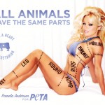 Pamela Anderson For PETA