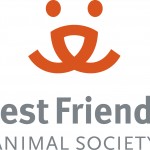 Cognitive Surplus: Its Impact on Animal Welfare