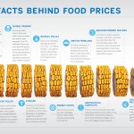 Infographics: Food Price Facts